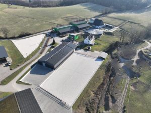 1000008390 - Kopie (2)